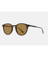 Clune Sunglasses - Black/ Pure Maple