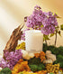 White Vetiver Candle - 11oz