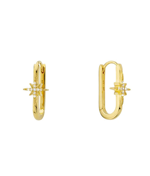 Diwali Jazzy Earrings