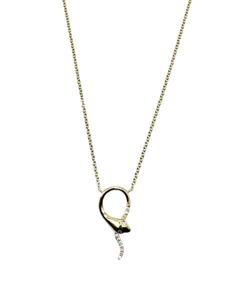 Snake Charmer Necklace