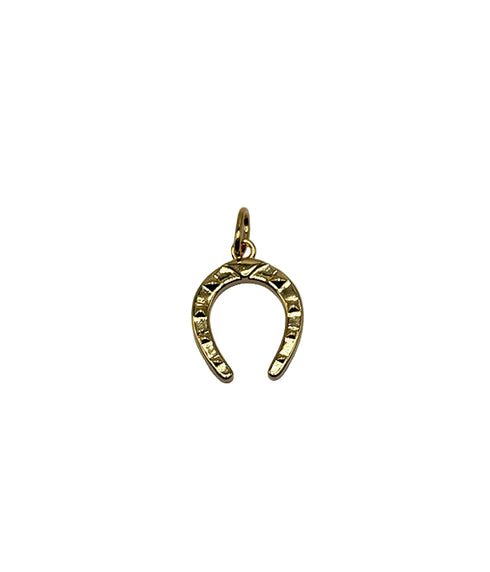 Horseshoe Pendant