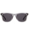 James Sunglasses - Mercury