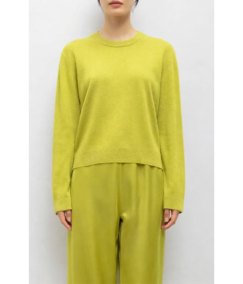 Jesse Classic Crew - Chartreuse