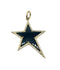 Black Onyx Star Pendant