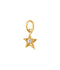 Star Diamond Pendant - YG