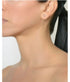 Open Shield Stud Earrings